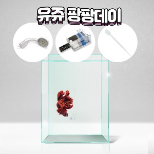 베타한방세트 15HQ하이올디아망+여과기+조명+스포이드