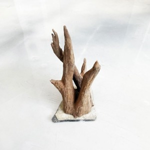 네츄럴 루트 스톤유목 (L) 대 36~45cm
