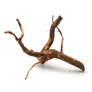 가지유목(M) 중사이즈 16~29cm