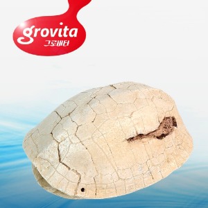 그로비타 거북이등껍질 장식소품(KP015-3-059)
